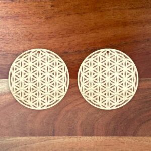 Boucle d'oreille en fleur de vie gravée