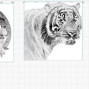 Détail Images de gravure animaux
