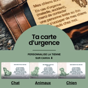 Carte d’urgence animale